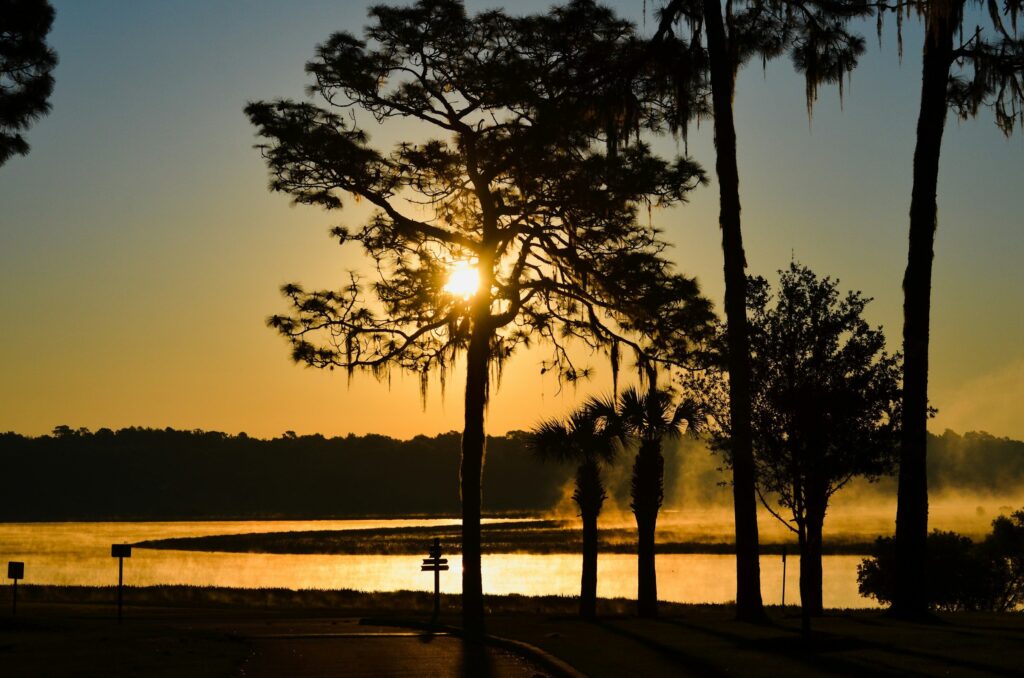 sunset in central Florida where Gato Guard provides top tier pest and lawn care services