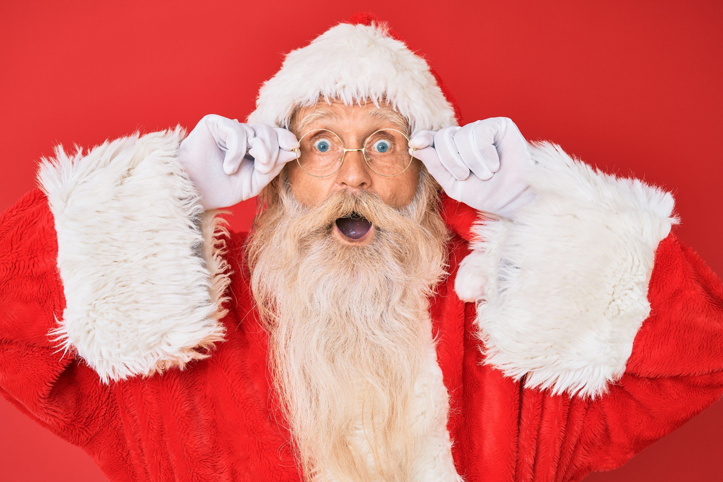 Holiday Pest Prevention Checklist