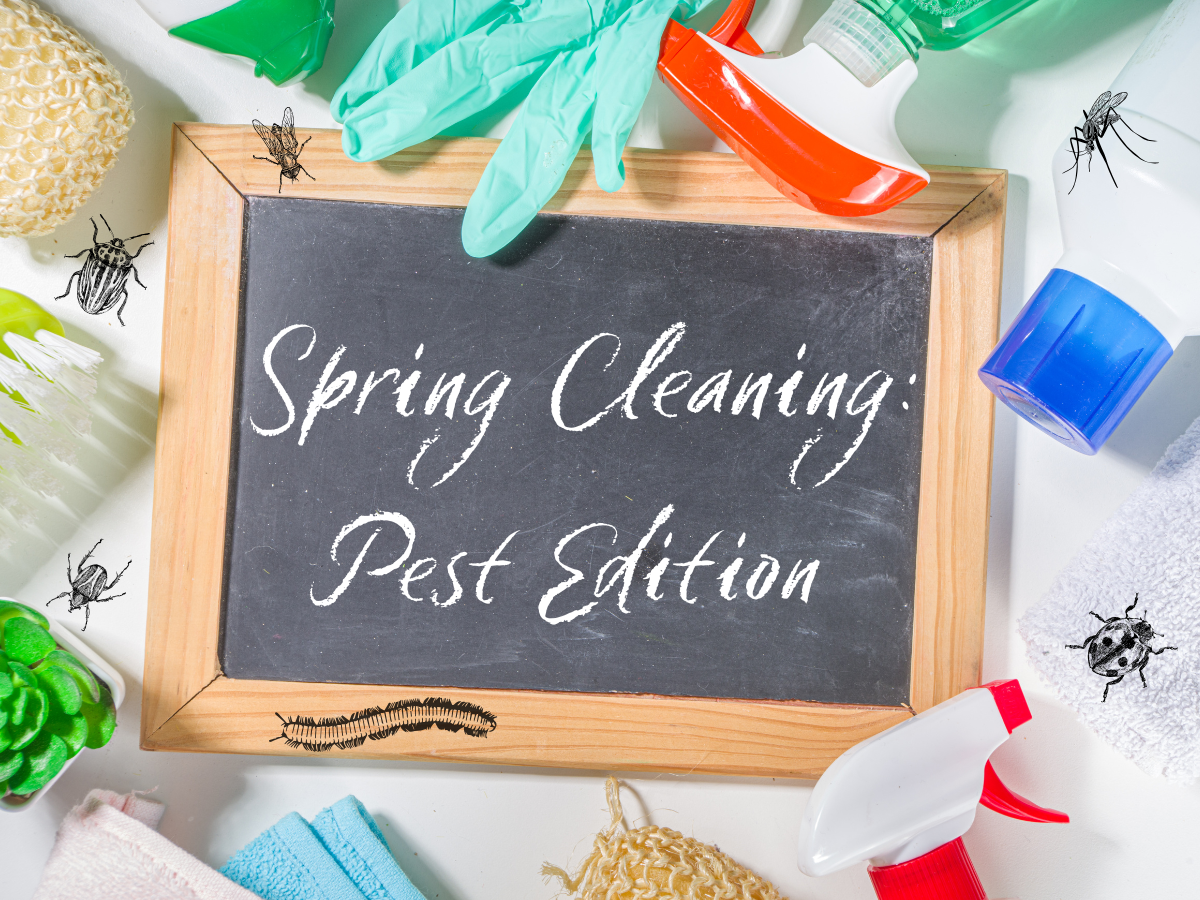 GATO Blog Cover Photo Spring Cleaning: Pest Edition