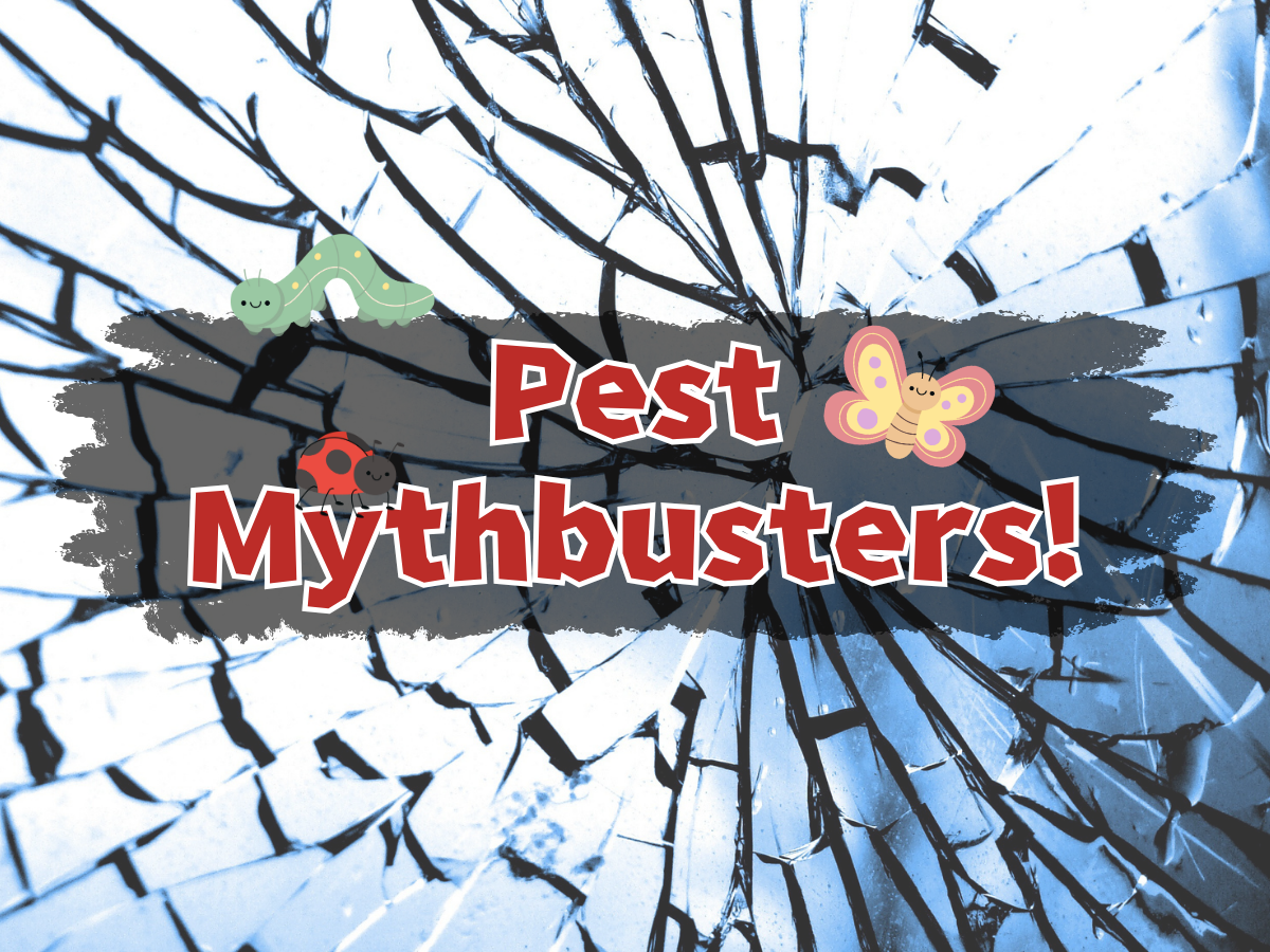 Gato Guard BLOG Cover Photo for Pest Mythbusters blog about common myths in pest control.