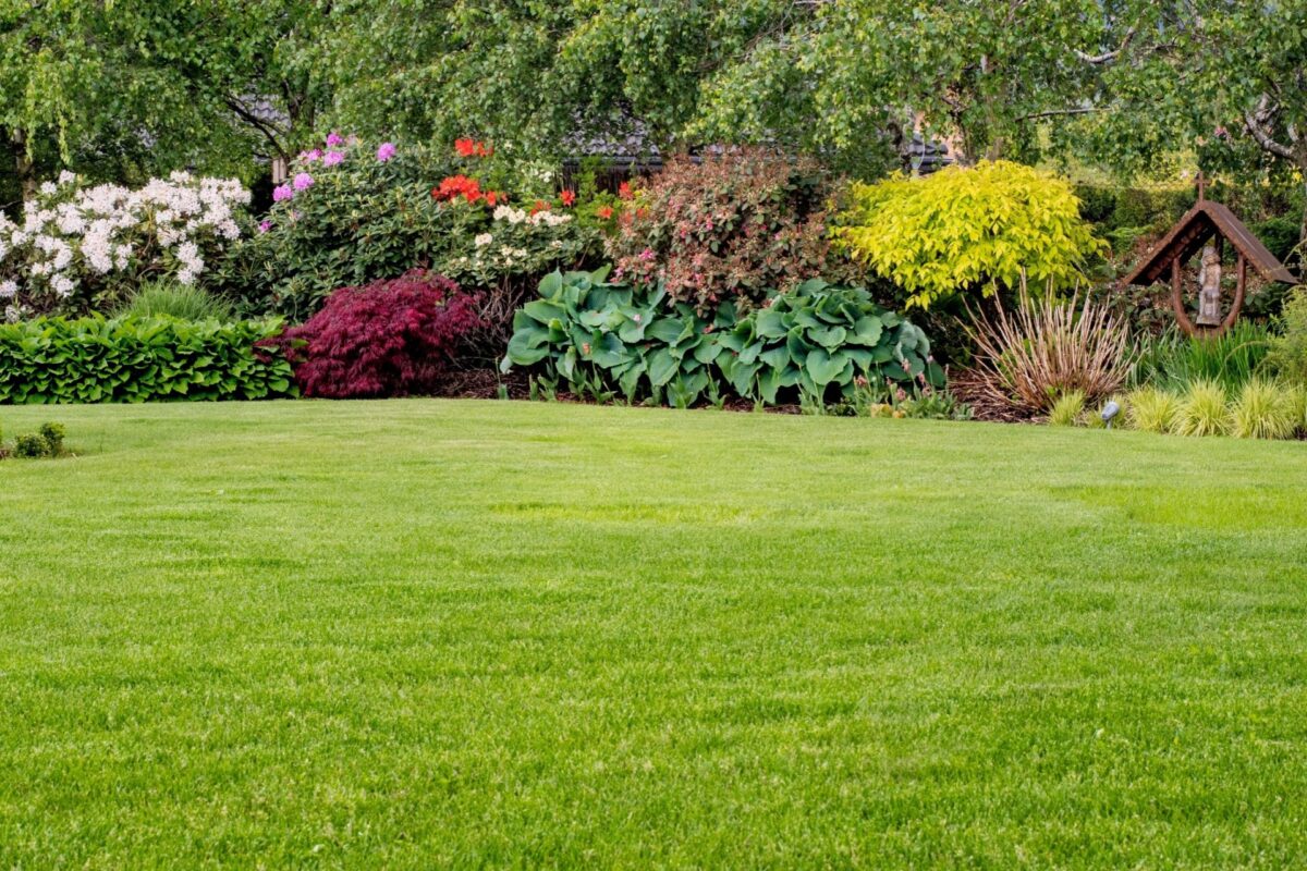Who’s the Best Company for Lawn Care Services in Orlando?