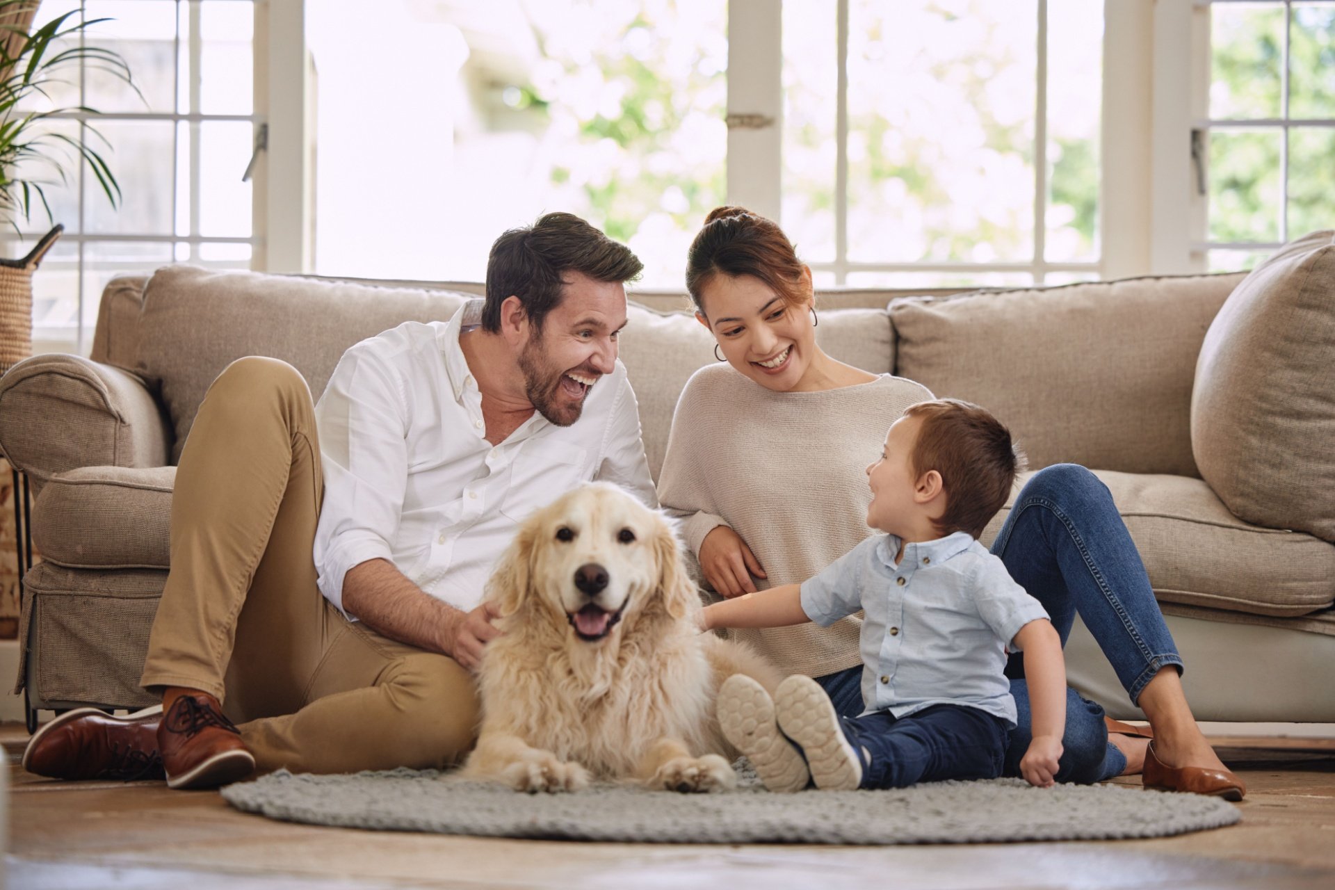 Who’s the Best Pest Control Company for Pet Owners in Orlando?