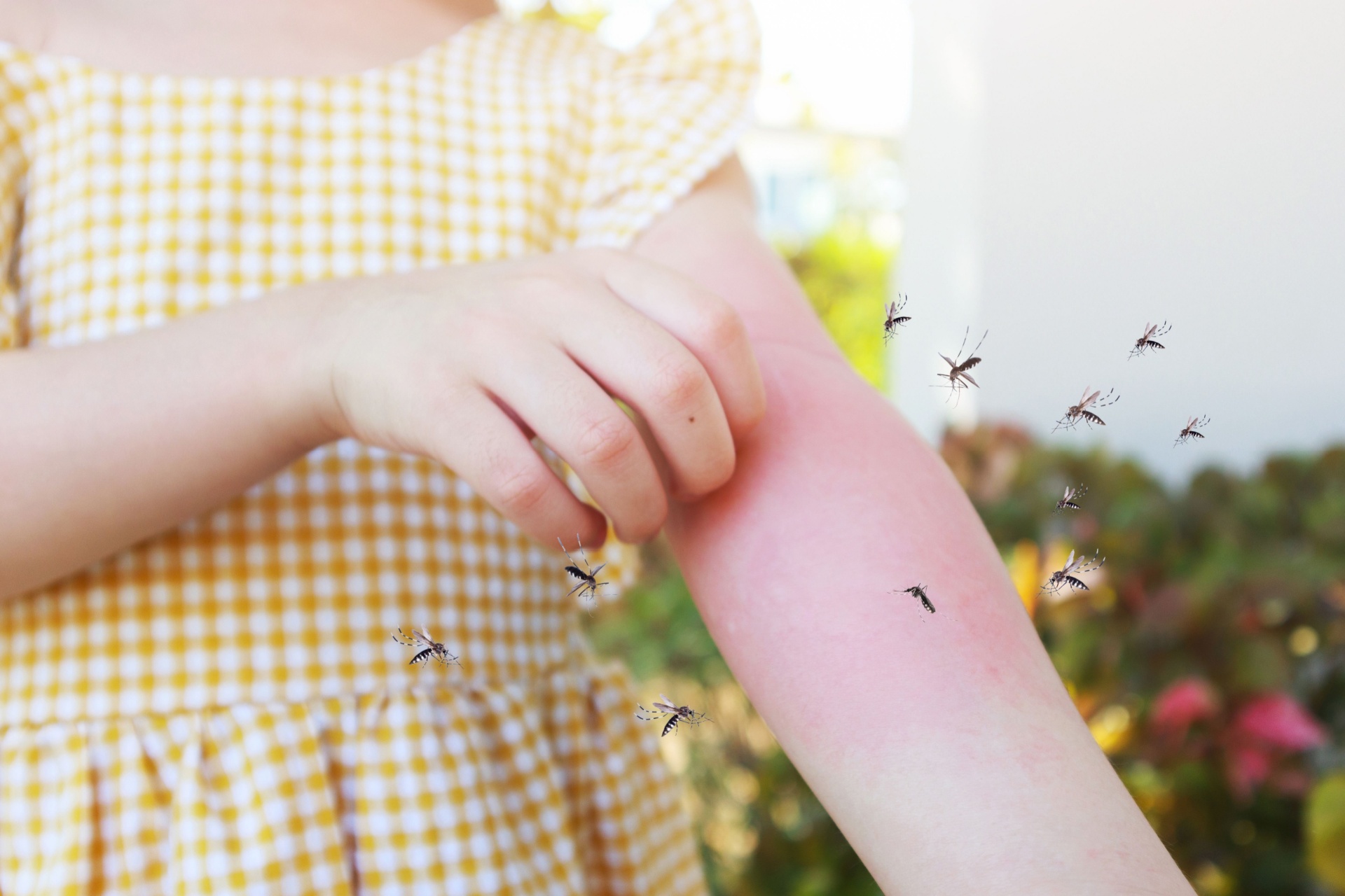 Mosquito Control for Orlando Families With Kids and Pets